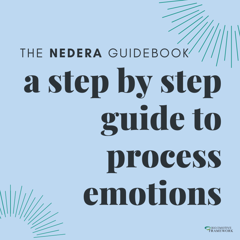 The Nedera Guidebook